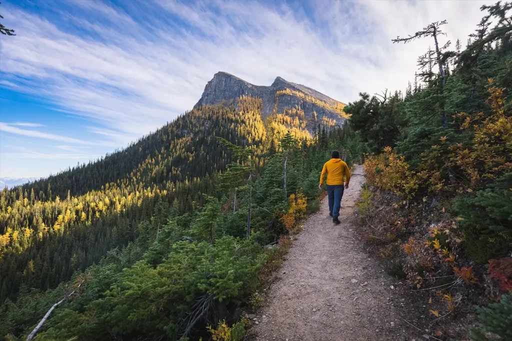 A person in a yellow jacket walks along a dirt trail through a forested area, with tall green trees and colorful foliage. In the background, Saddle Mountain rises under a blue sky with wispy clouds.