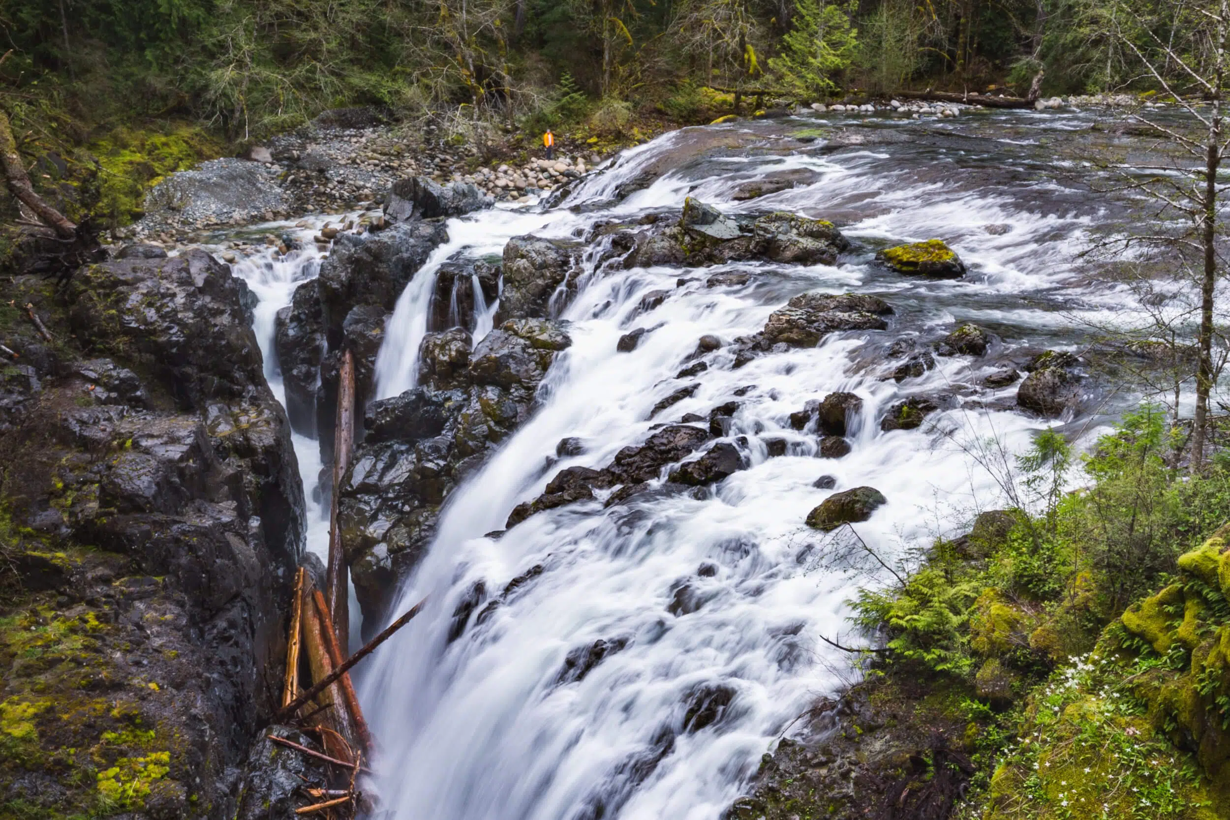 Englishman River Falls