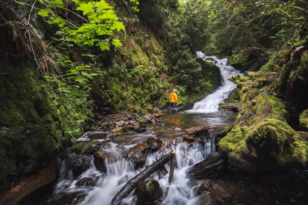 Lower Shooting Star Falls