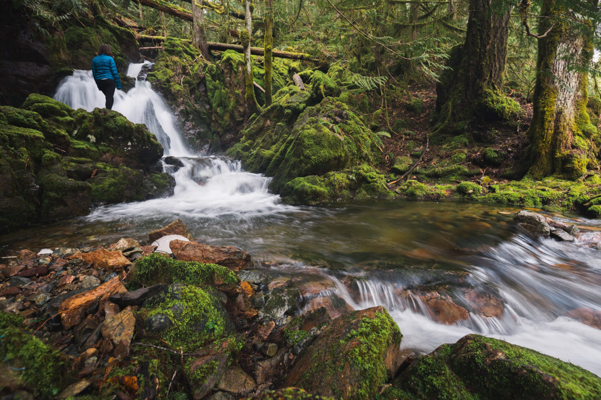 Renfrew Road Falls on Vancouver Island