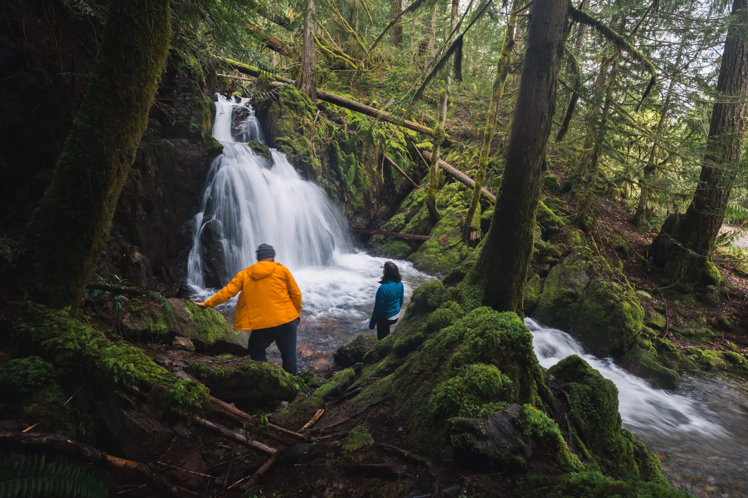 Renfrew Road Falls