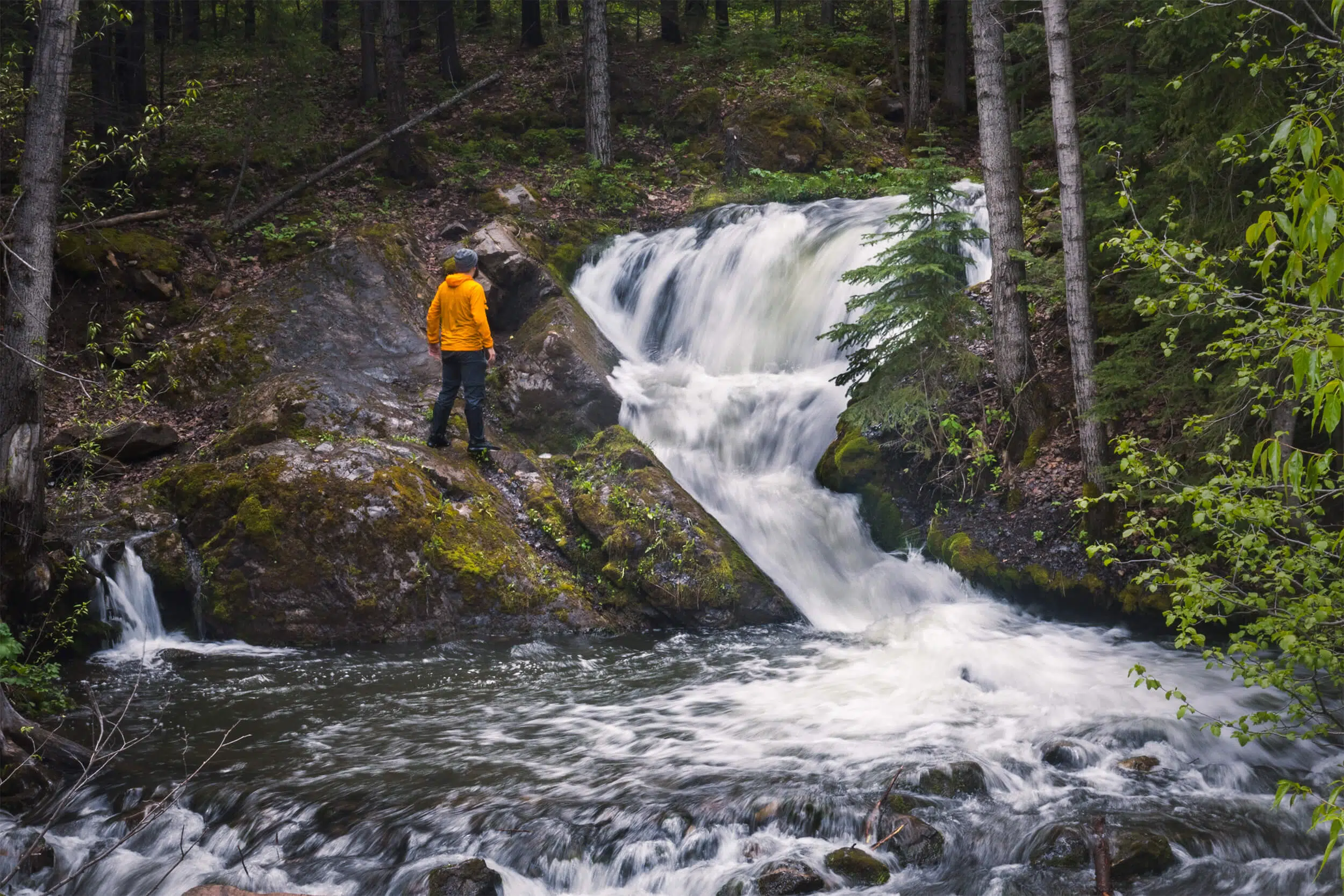 Crowsnest Creek Falls in the Crowsnest Pass