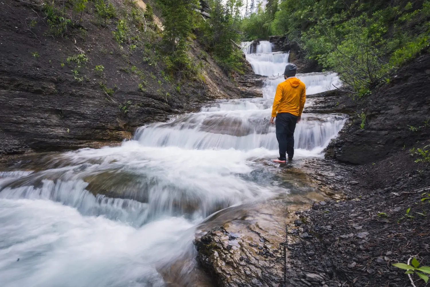 A person in an orange jacket stands on rocks beside the cascading waters of Allison Creek Falls in a forested area, facing the flowing water as trees and greenery surround the scenic scene.