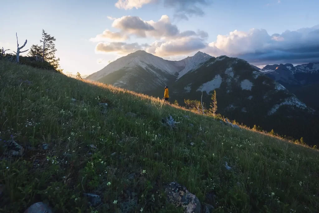 Person in a yellow jacket hiking on a sloped, grassy hillside with wildflowers. Majestic mountains are in the background, partially illuminated by the setting sun, beneath a sky filled with clouds.