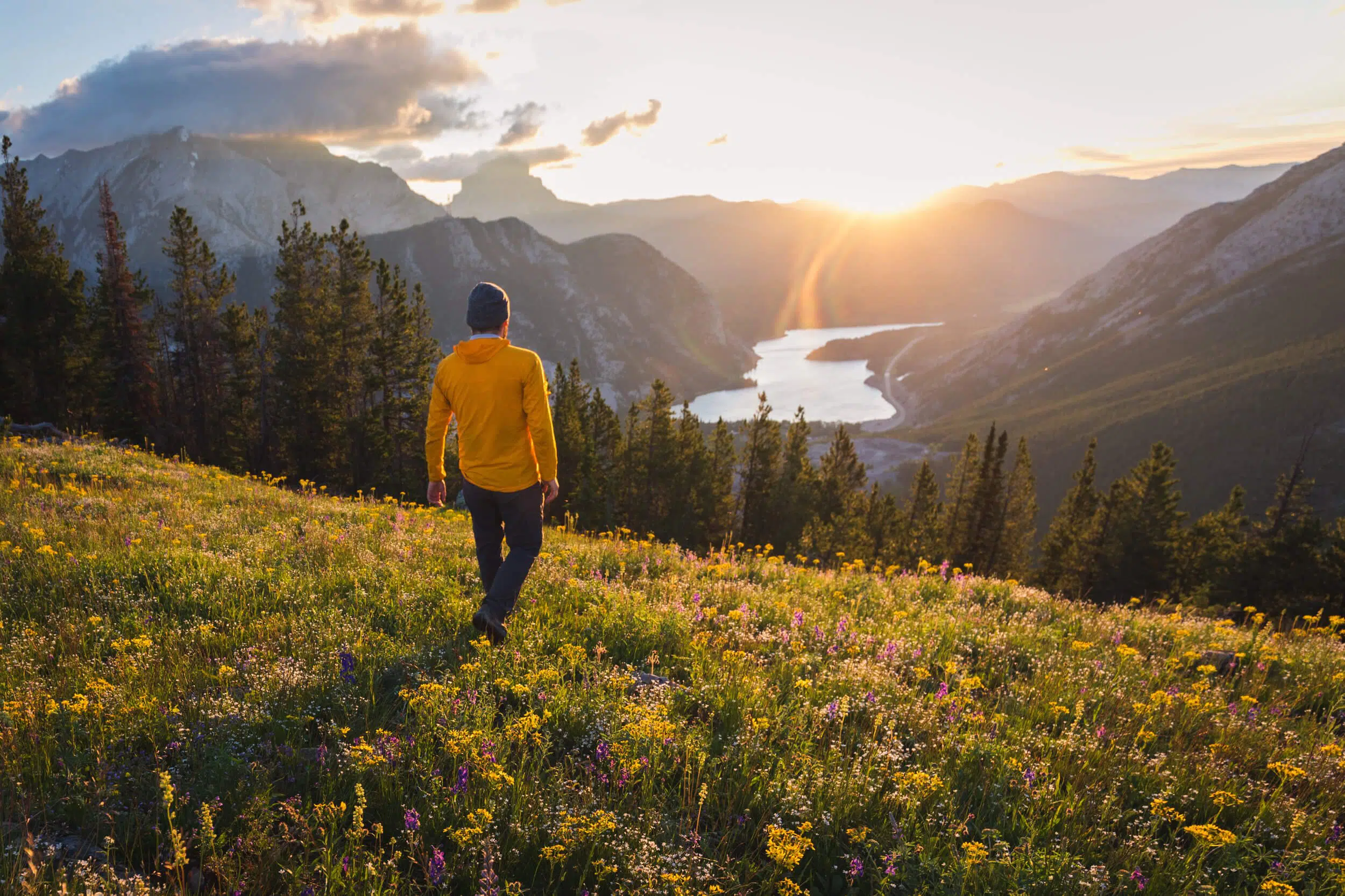 Island Ridge Hike in the Crowsnest Pass