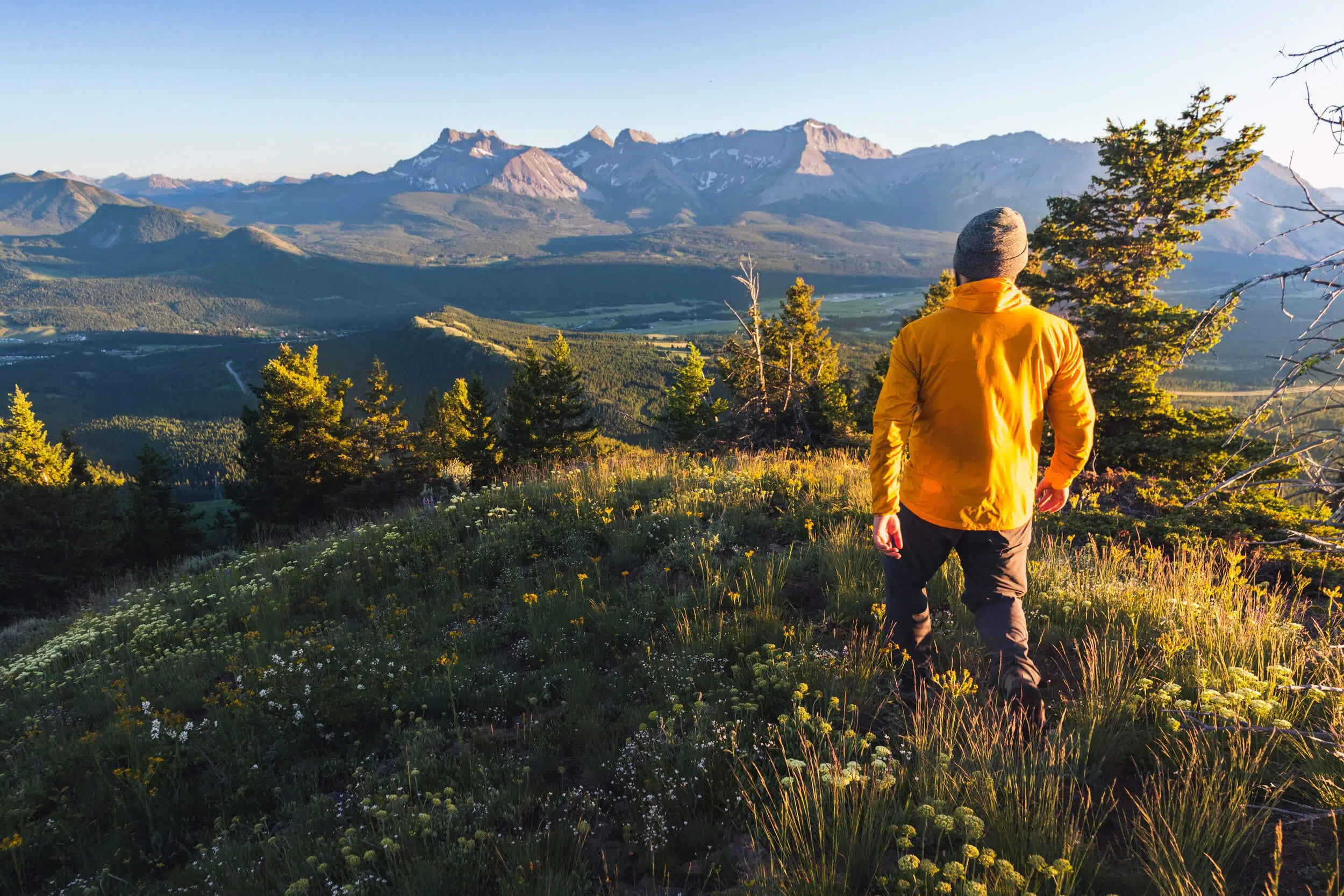 Wedge Mountain in the Crowsnest Pass