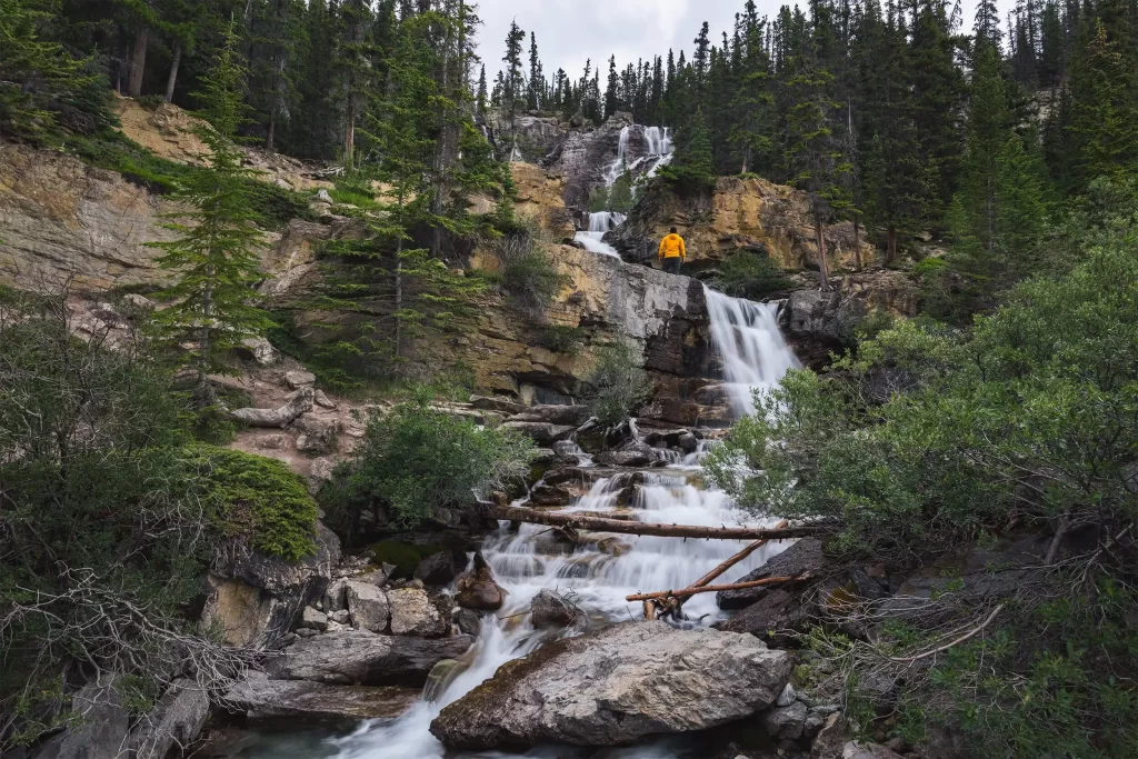 Tangle Creek Falls in Jasper