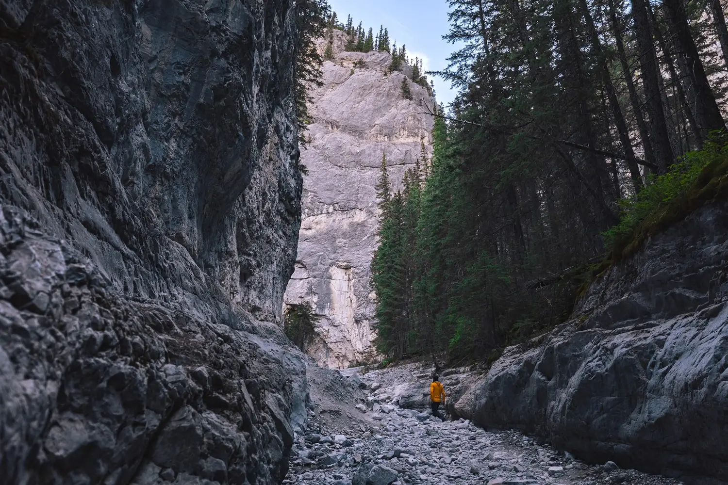 A person wearing a yellow jacket stands on a rocky path in Grotto Canyon, surrounded by tall cliffs and dense pine trees, with a large rock face and blue sky in the background.