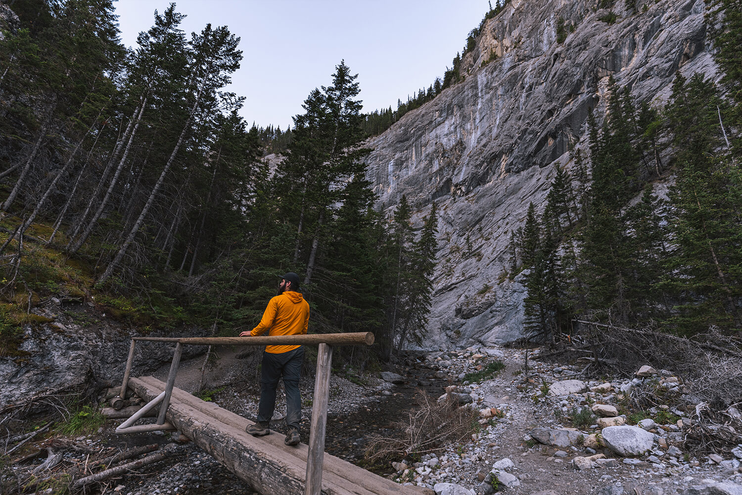 How To Hike Heart Creek Canyon Near Canmore Seeing The Elephant