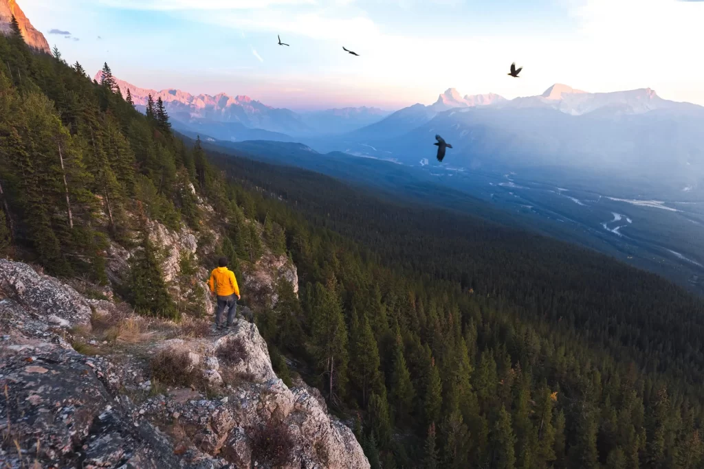 Castle Lookout in Banff