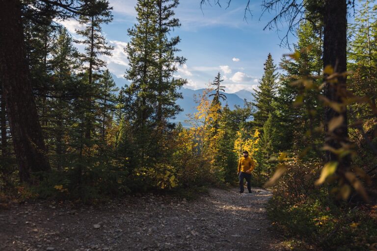 How to Hike CASTLE MOUNTAIN LOOKOUT in Banff - Seeing the Elephant