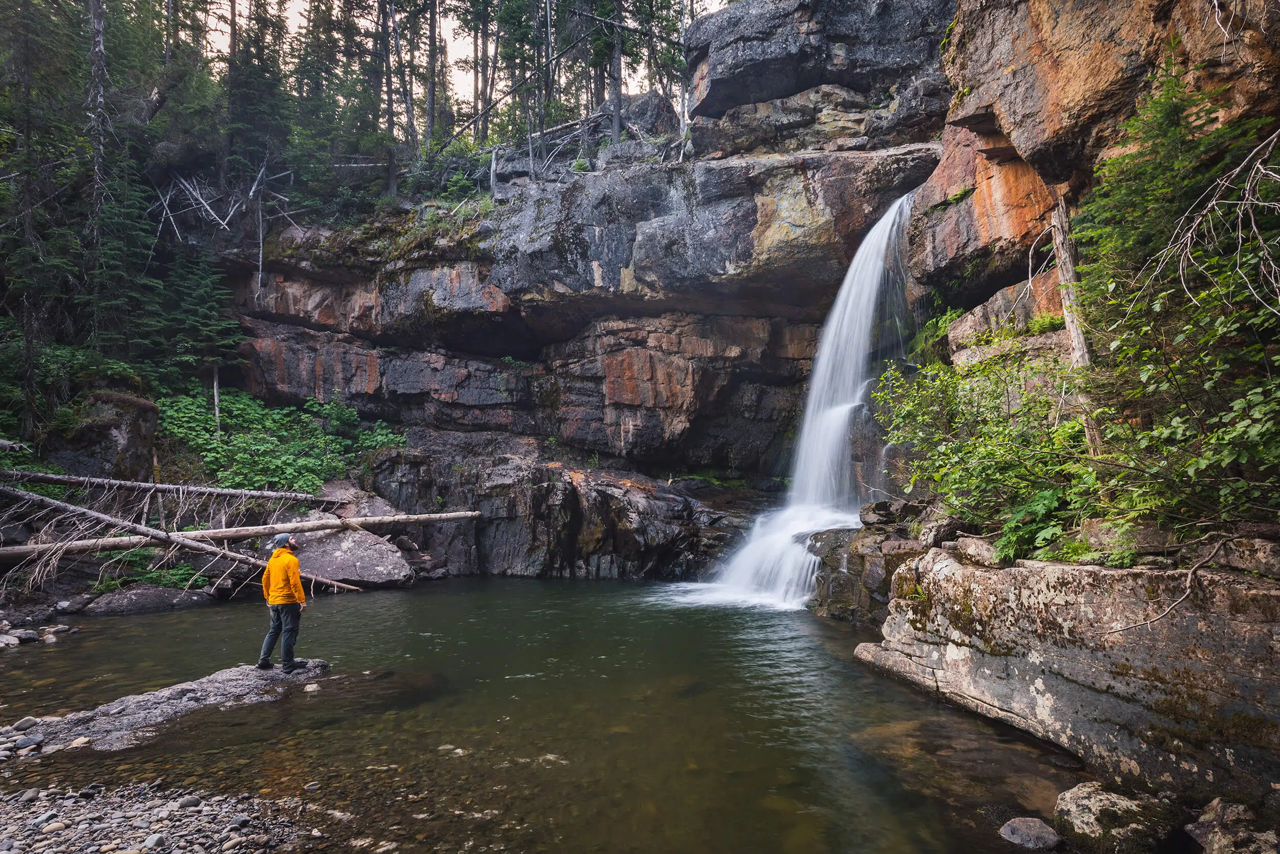 Upper Morrissey Falls in Fernie