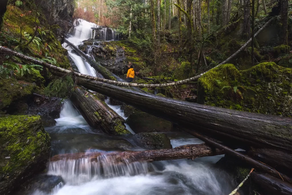 Cold Creek Falls in Port Alberni