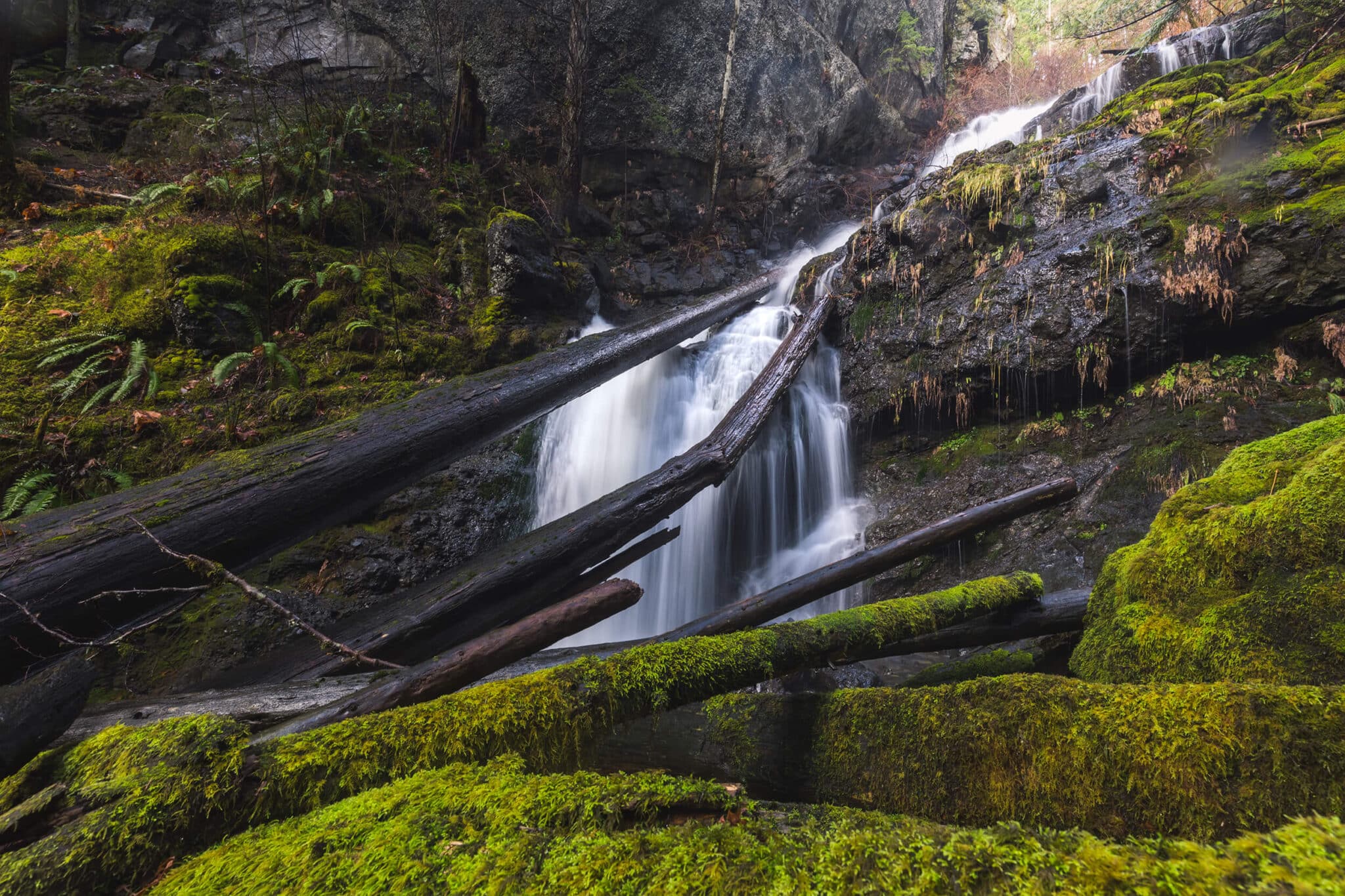 How To Hike To COLD CREEK FALLS In Port Alberni- Seeing The Elephant