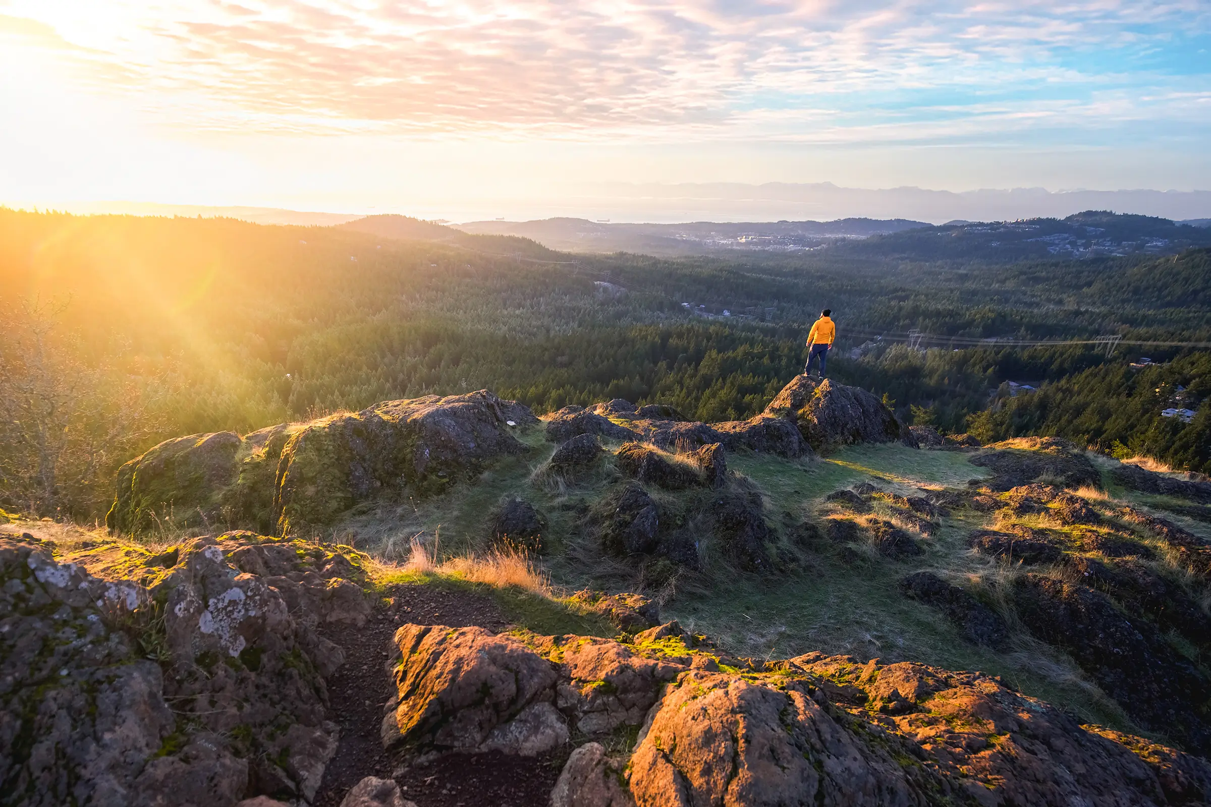 Lone Tree Hill in Victoria