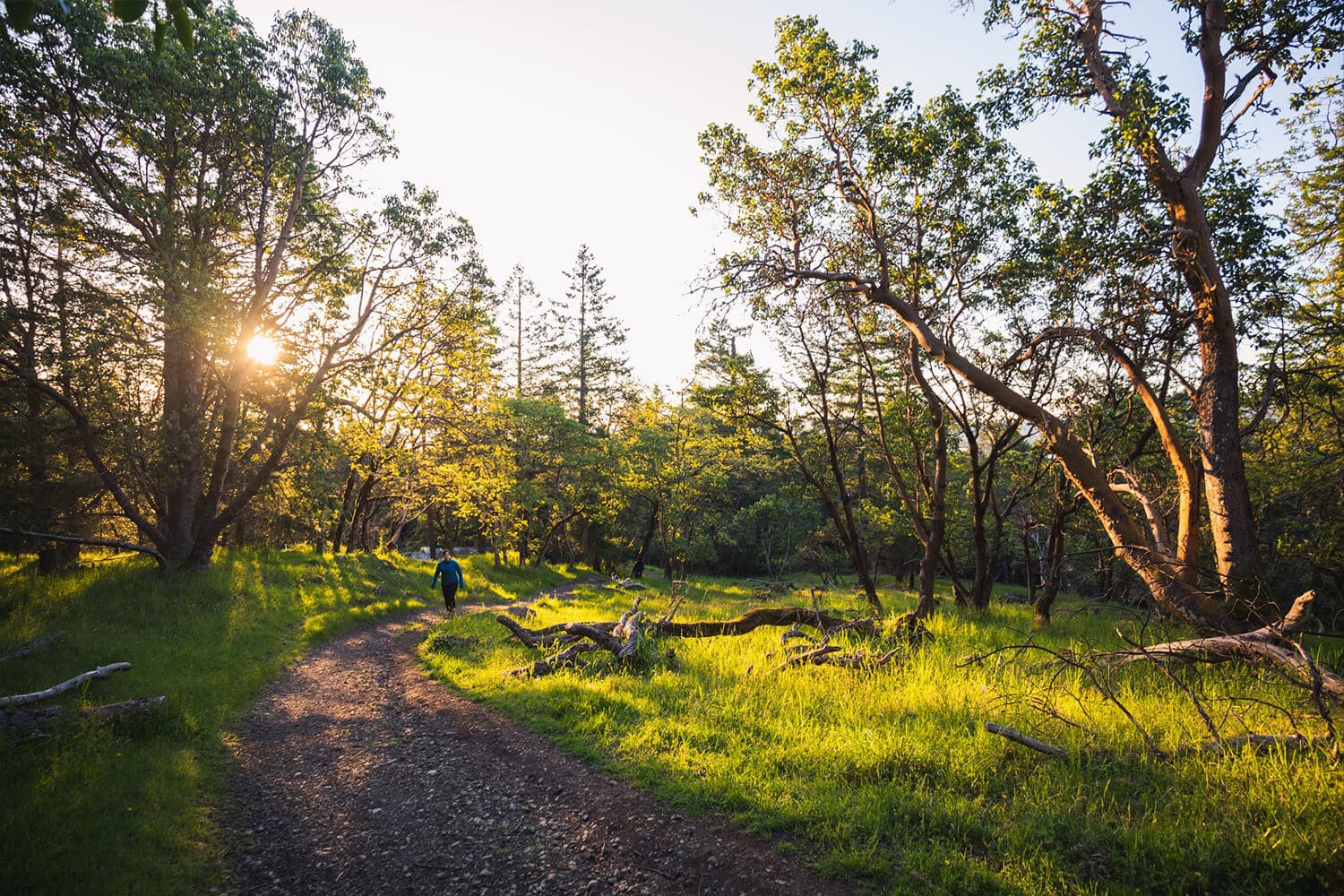 How to Hike NOTCH HILL in Nanoose Bay - Seeing the Elephant