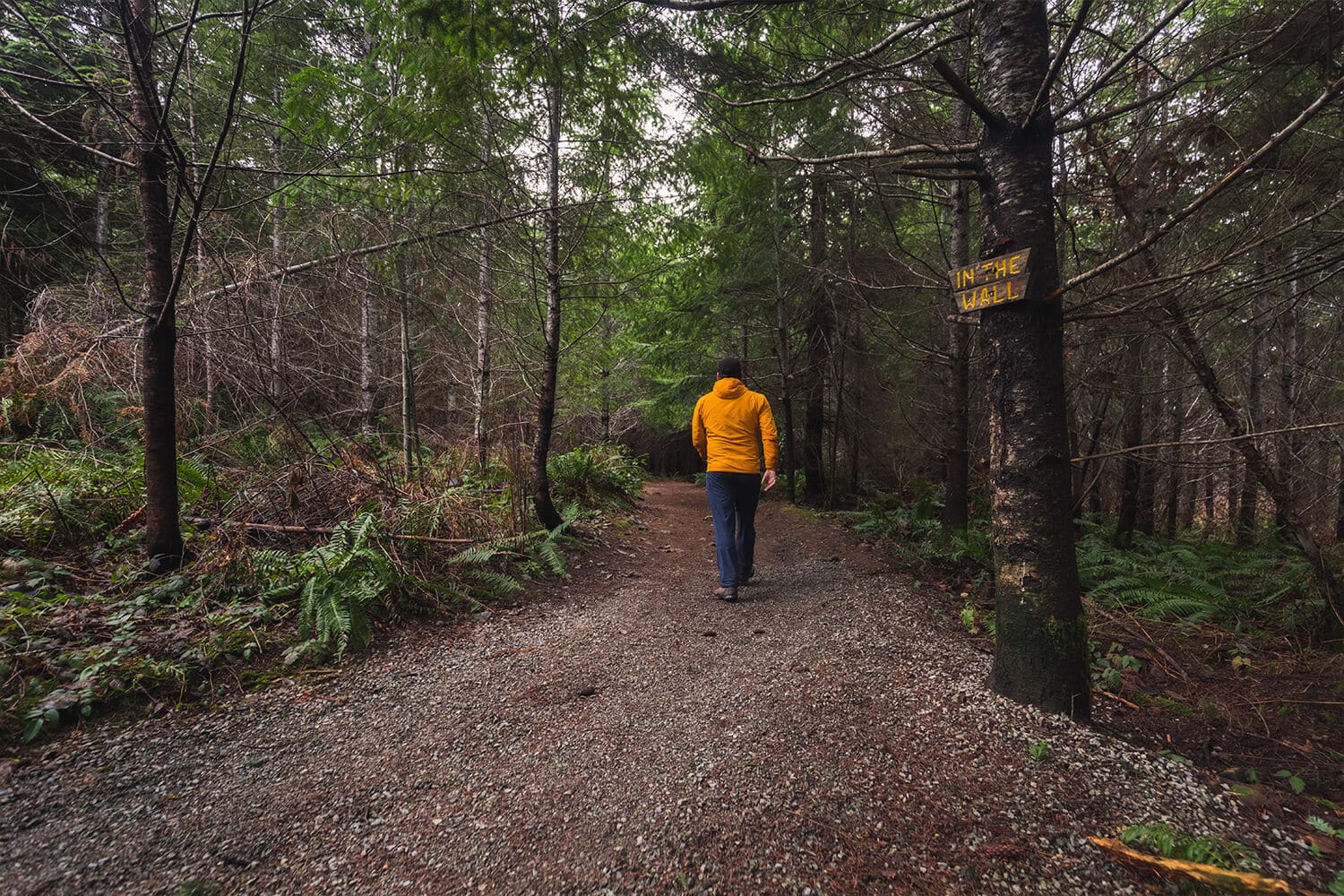 How To Visit HOLE IN THE WALL In Port Alberni - SEEING THE ELEPHANT