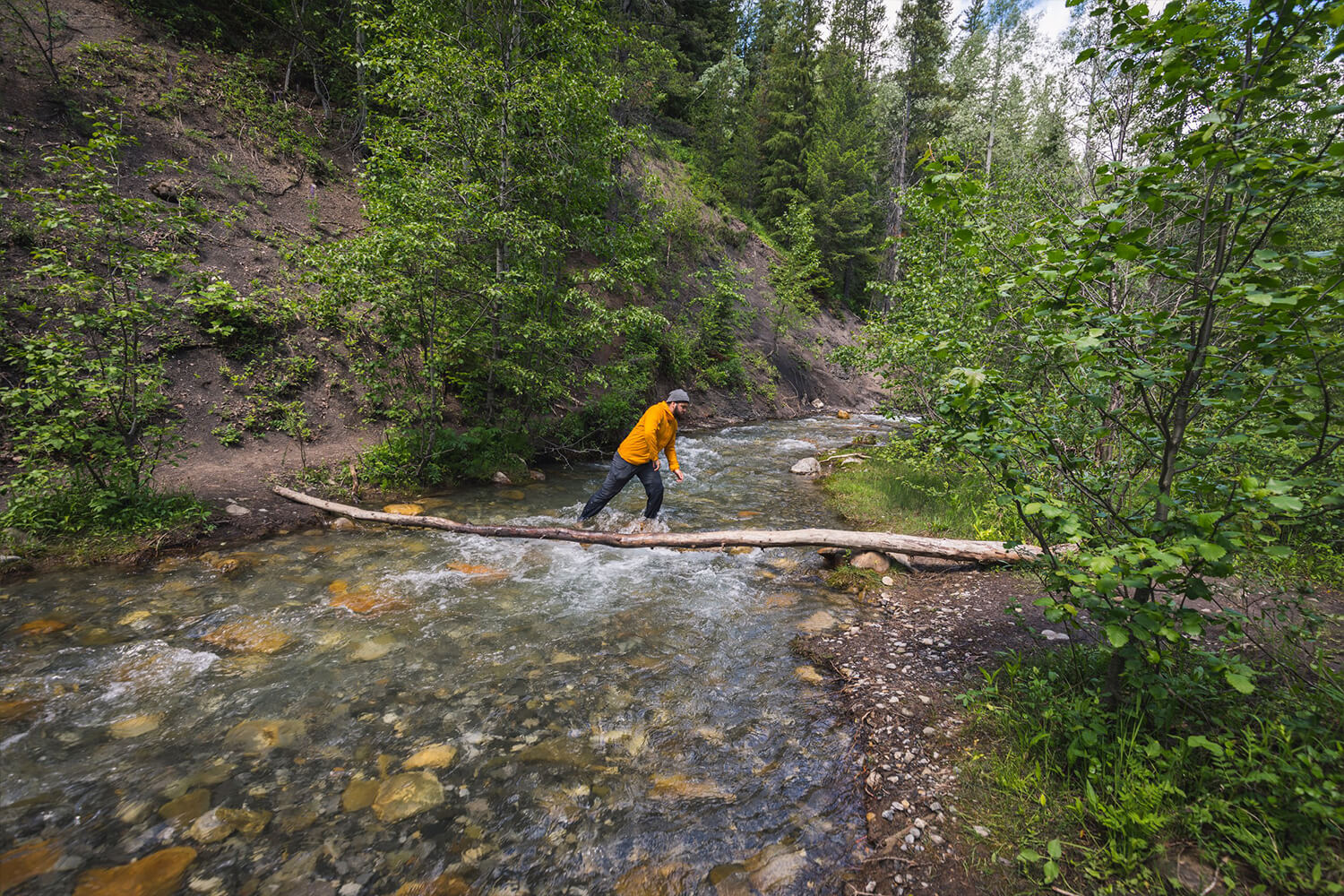 How To Hike To Allison Creek Falls In The Crowsnest Pass Seeing The