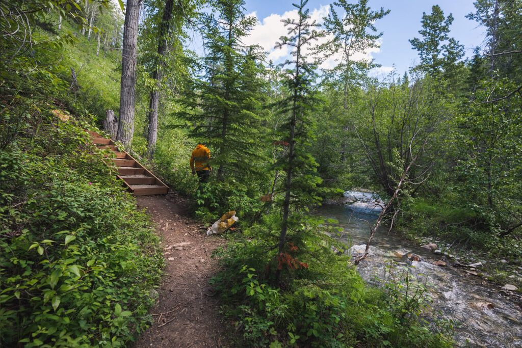 How To Hike To Allison Creek Falls In The Crowsnest Pass Seeing The