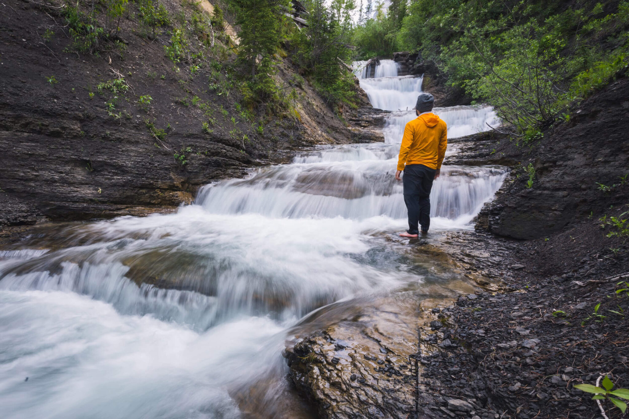 How To Hike To Allison Creek Falls In The Crowsnest Pass Seeing The