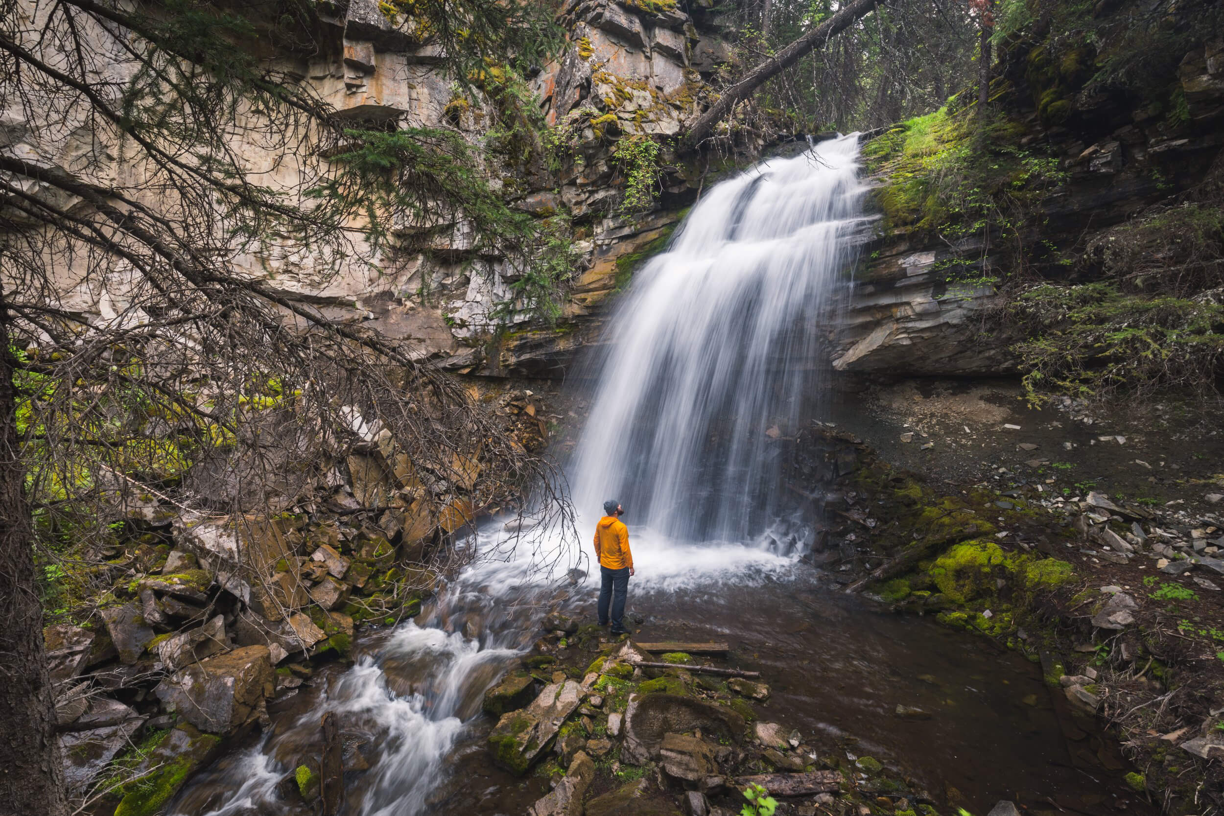 Drum Creek Falls in the Crowsnest Pass