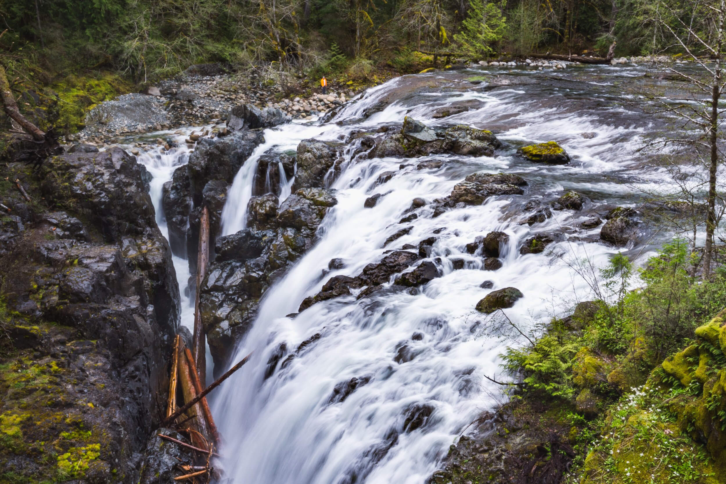 Englishman River Falls on Vancouver Island