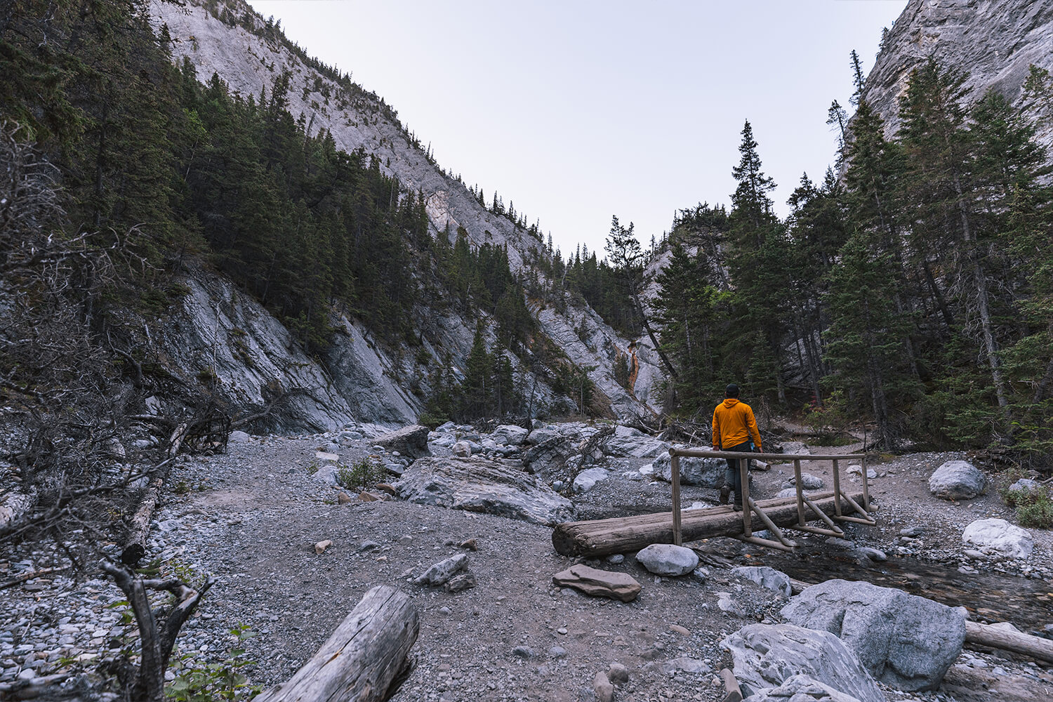 How To Hike Heart Creek Canyon Near Canmore Seeing The Elephant