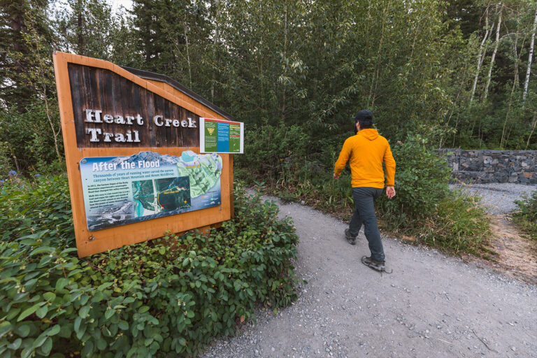 How To Hike Heart Creek Canyon Near Canmore Seeing The Elephant