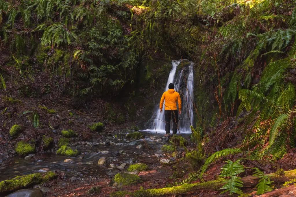 Hidden Springs Falls Near Victoria