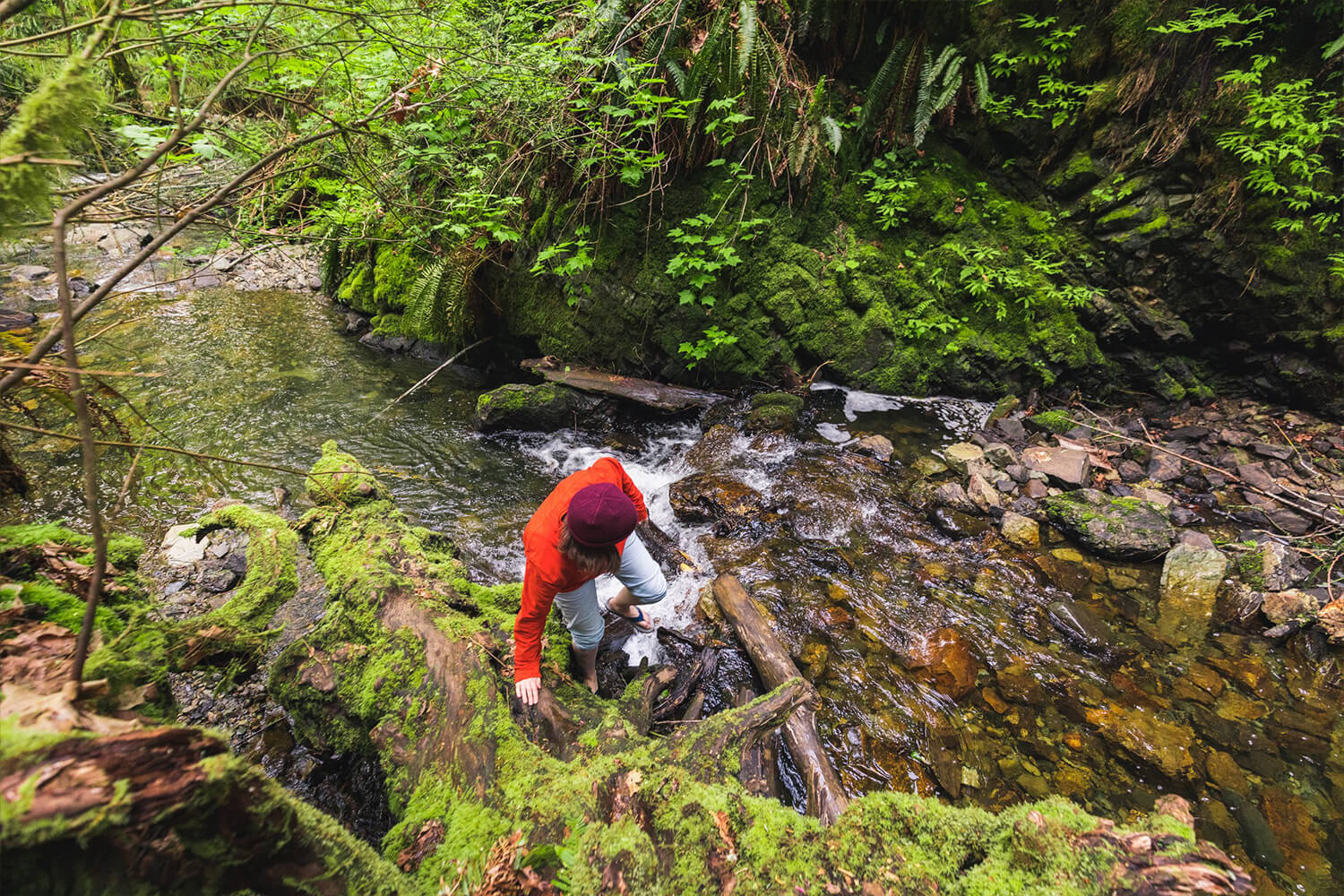 How to Visit LOWER SHOOTING STAR FALLS in Nanoose Bay - Seeing the Elephant