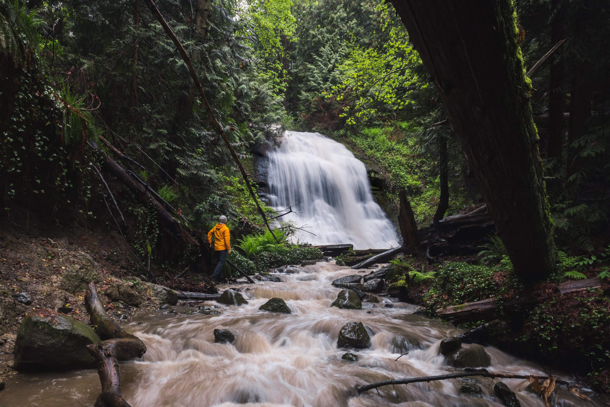 NANAIMO WATERFALLS: The Ultimate Guide - SEEING THE ELEPHANT