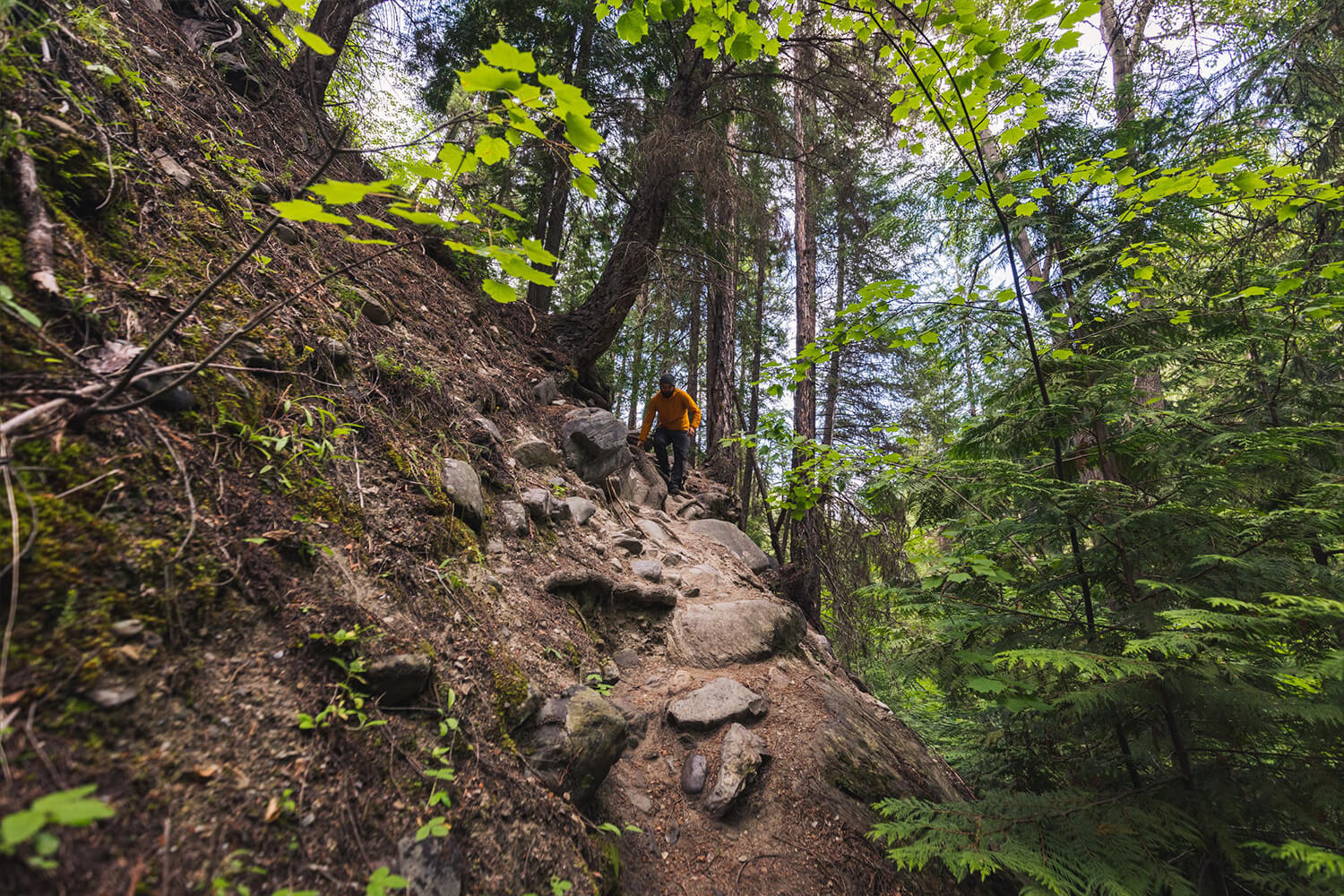 How to Hike to PERRY CREEK FALLS Near Cranbrook