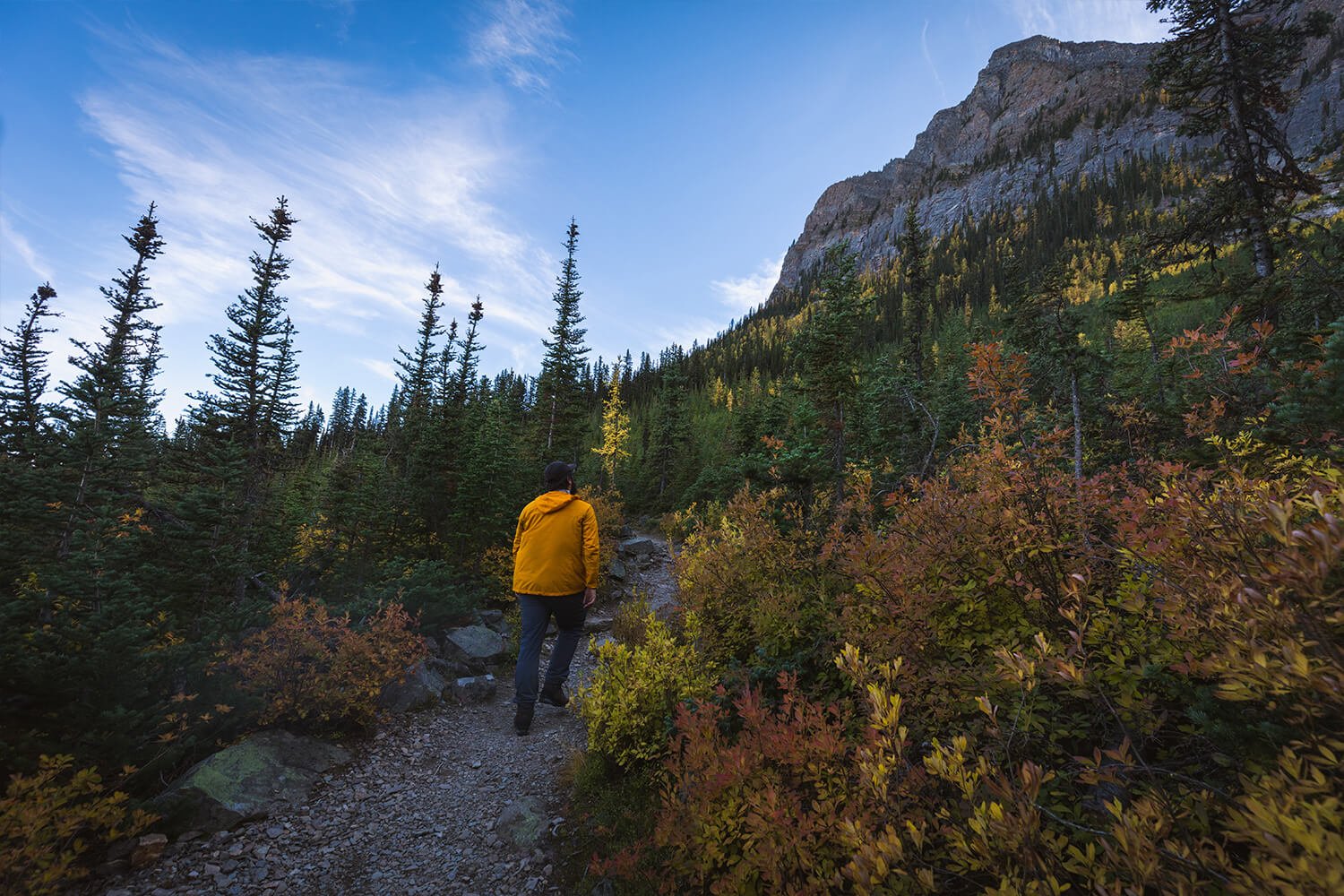 LAKE LOUISE How to Hike SADDLE MOUNTAIN in Banff