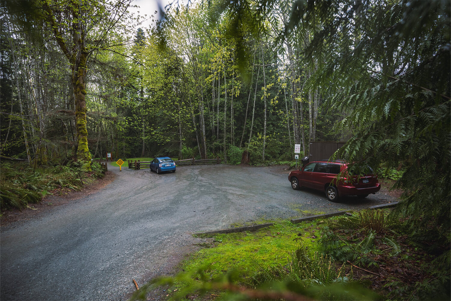 How to Hike to STOCKING CREEK FALLS on Vancouver Island - SEEING THE