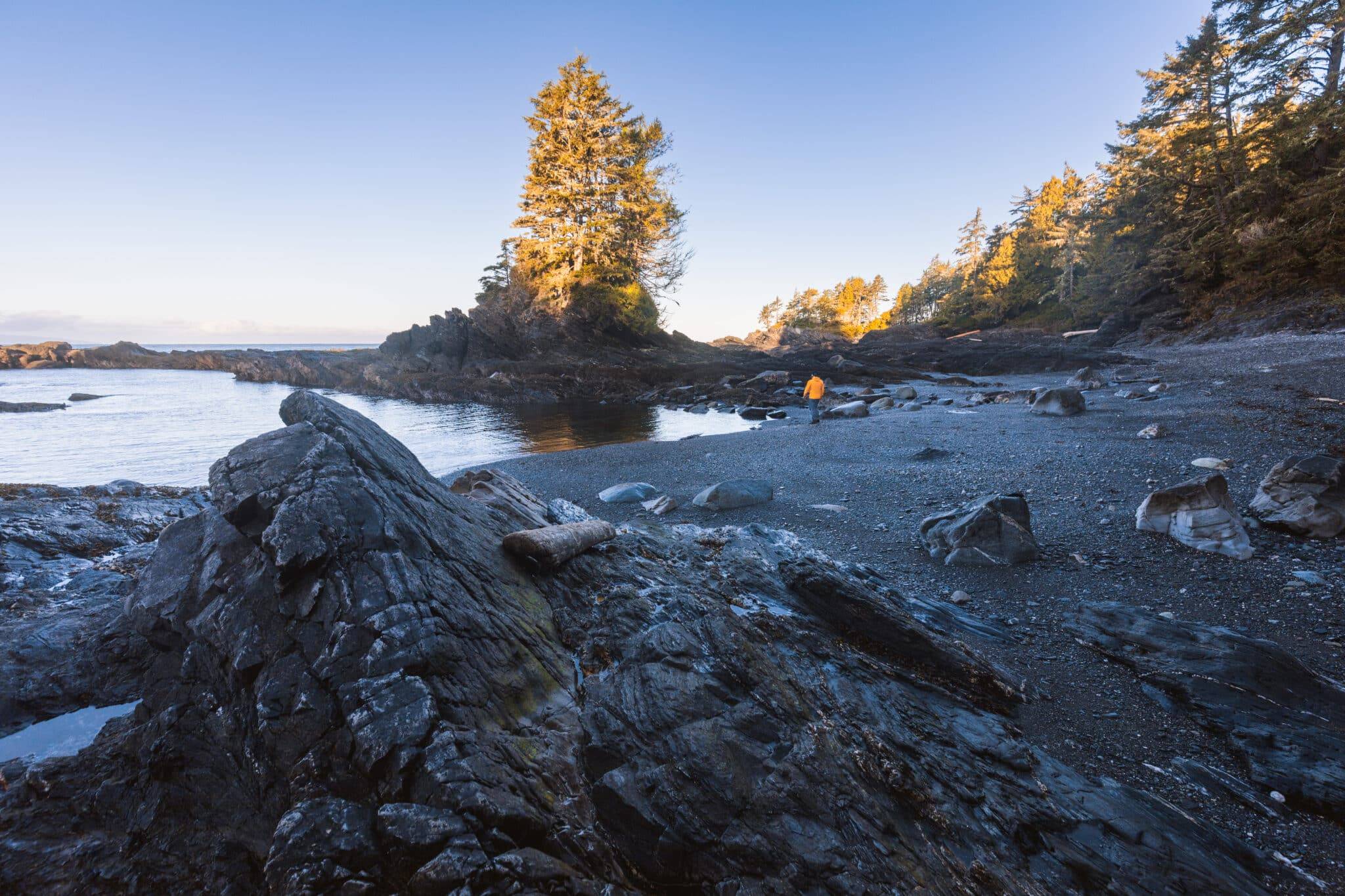 The Best Things to do in Port Renfrew