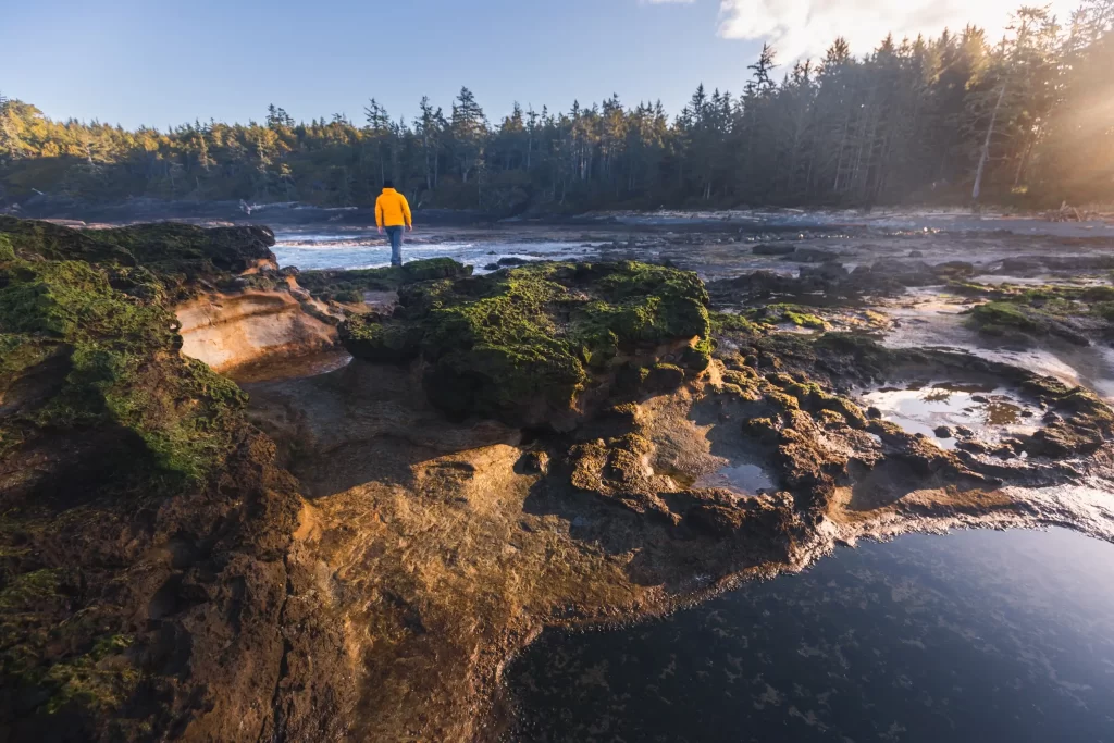 Botanical Beach Near Port Renfrew