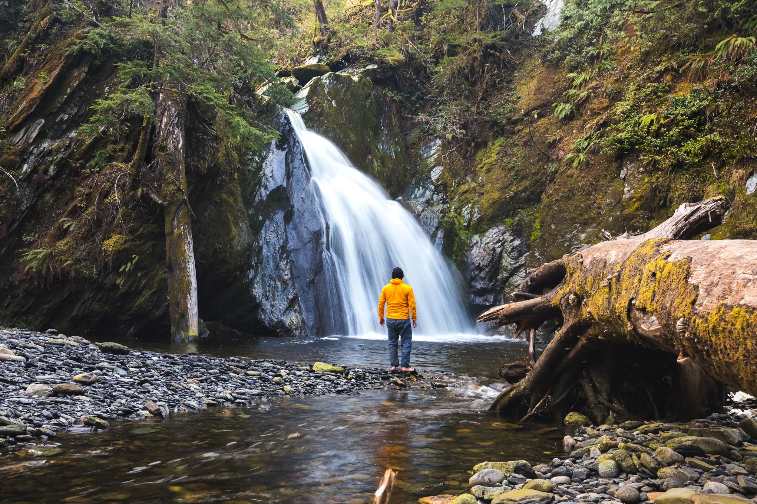 Falls Creek Falls Near Port Renfrew