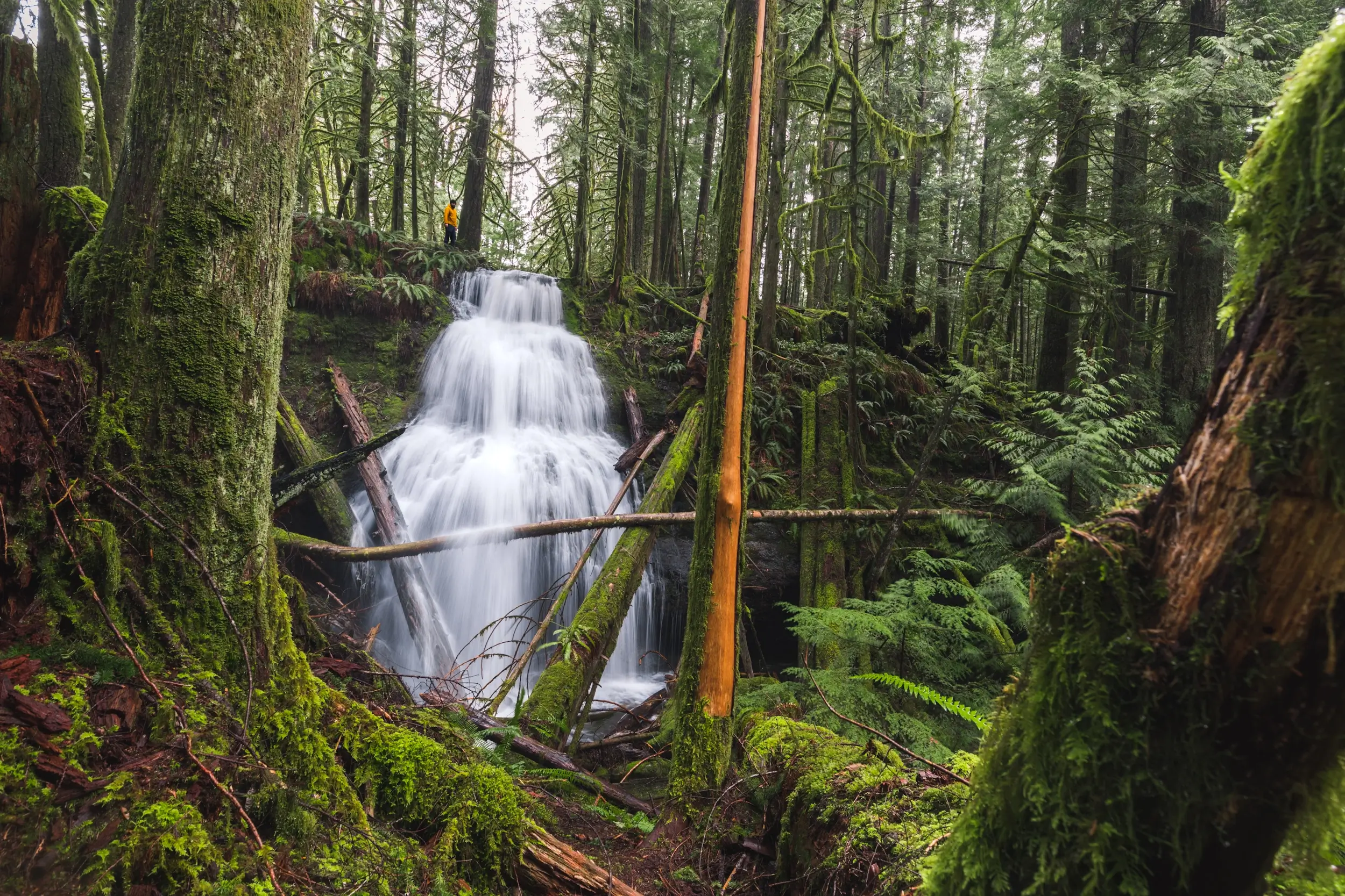 Ginger Creek Falls in Port Alberni