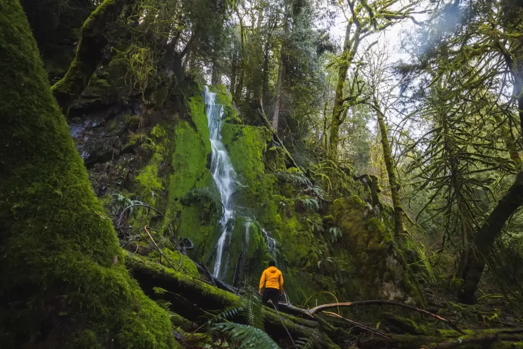 Macfarlane Falls Near Victoria