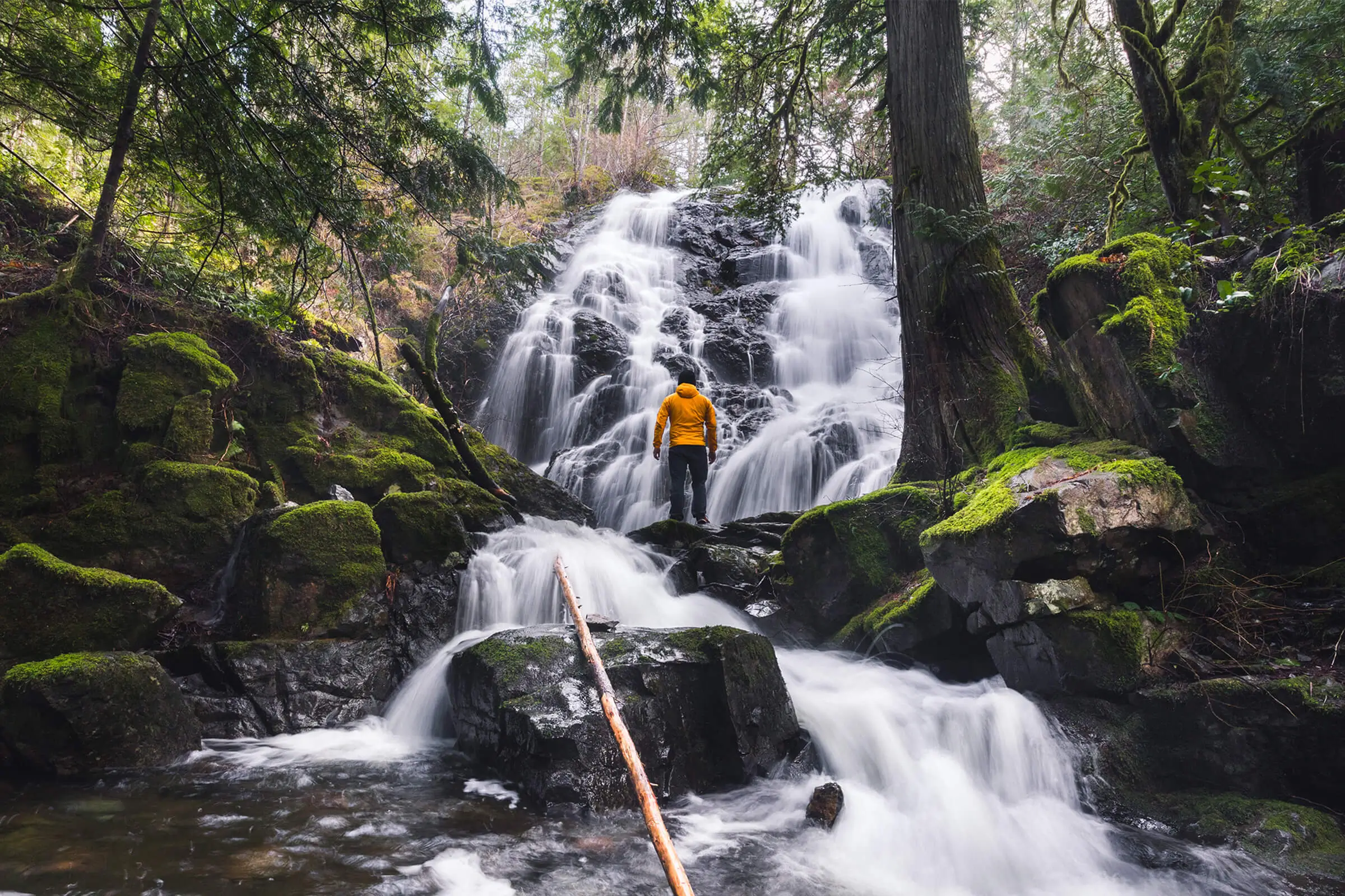 A person wearing a yellow jacket stands on rocks in front of Mary Vine Creek Falls, surrounded by mossy stones and trees in a forested area. A fallen tree trunk lies across the flowing water in the foreground.