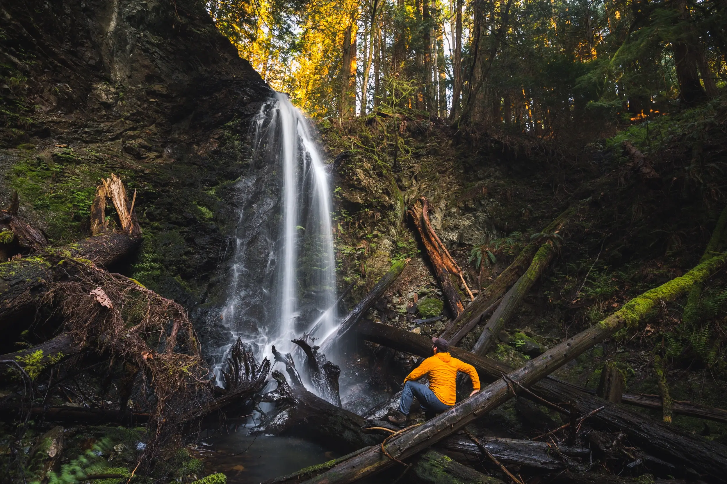 Shooting Star Falls on Vancouver Island