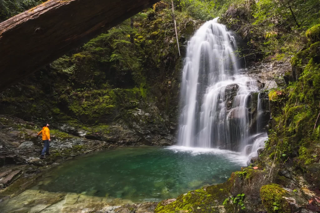 Weiner Falls Near Port Alberni