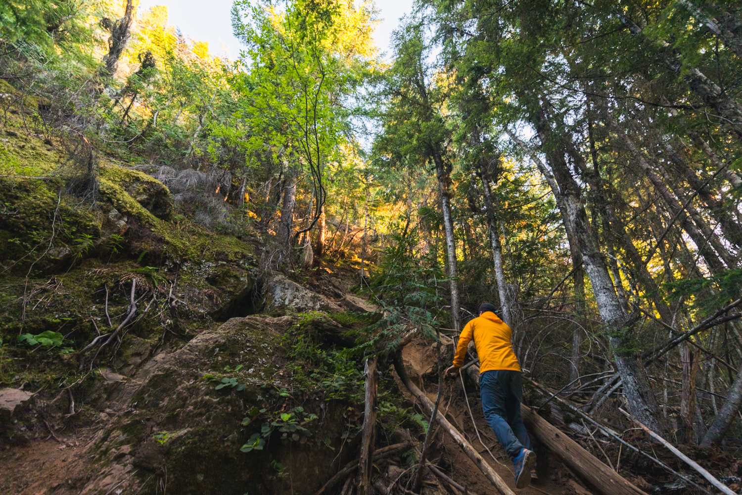 How to Hike Mount Benson Near Nanaimo