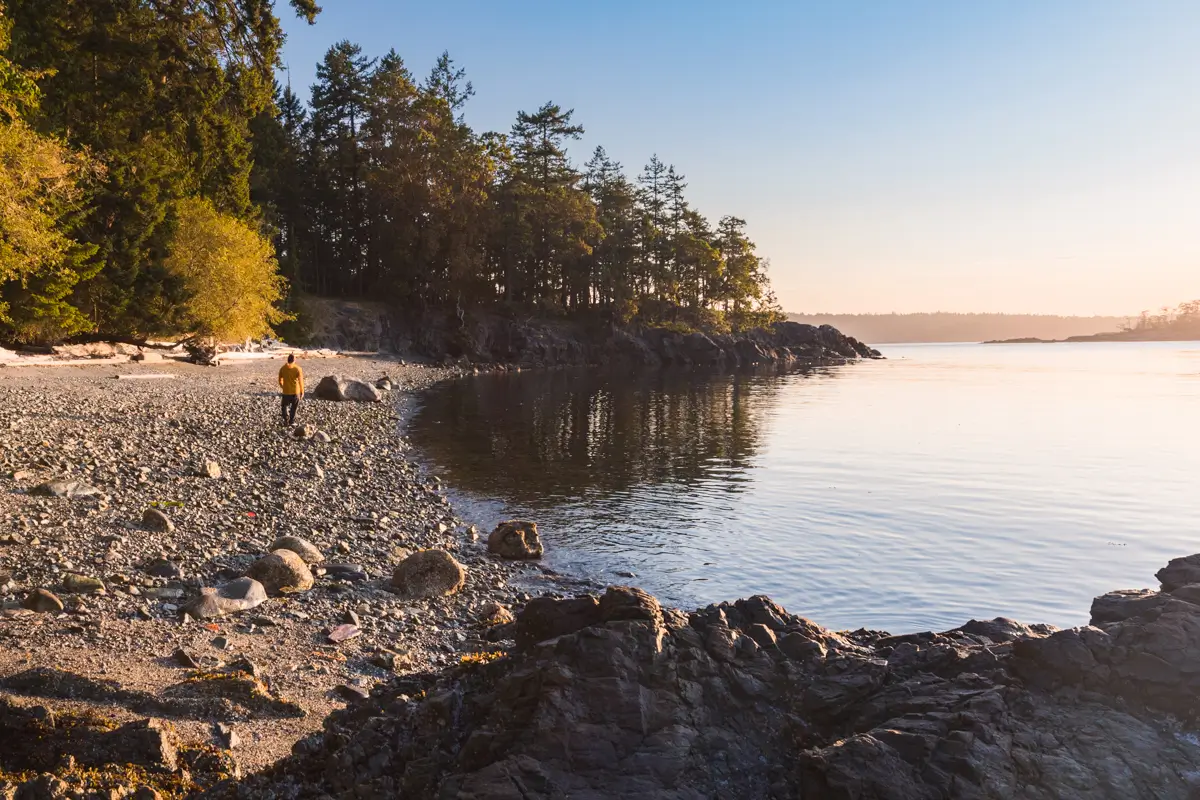 A person in a yellow jacket walks alone on a rocky beach beside calm water, enjoying the scenic beauty of Salt Spring Island hikes, with trees and sunlight in the background on a clear day.