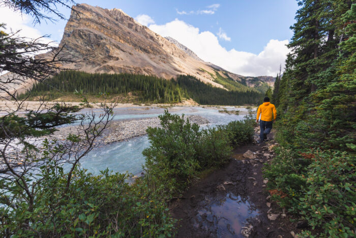 How To Hike To Bow Glacier Falls In Banff