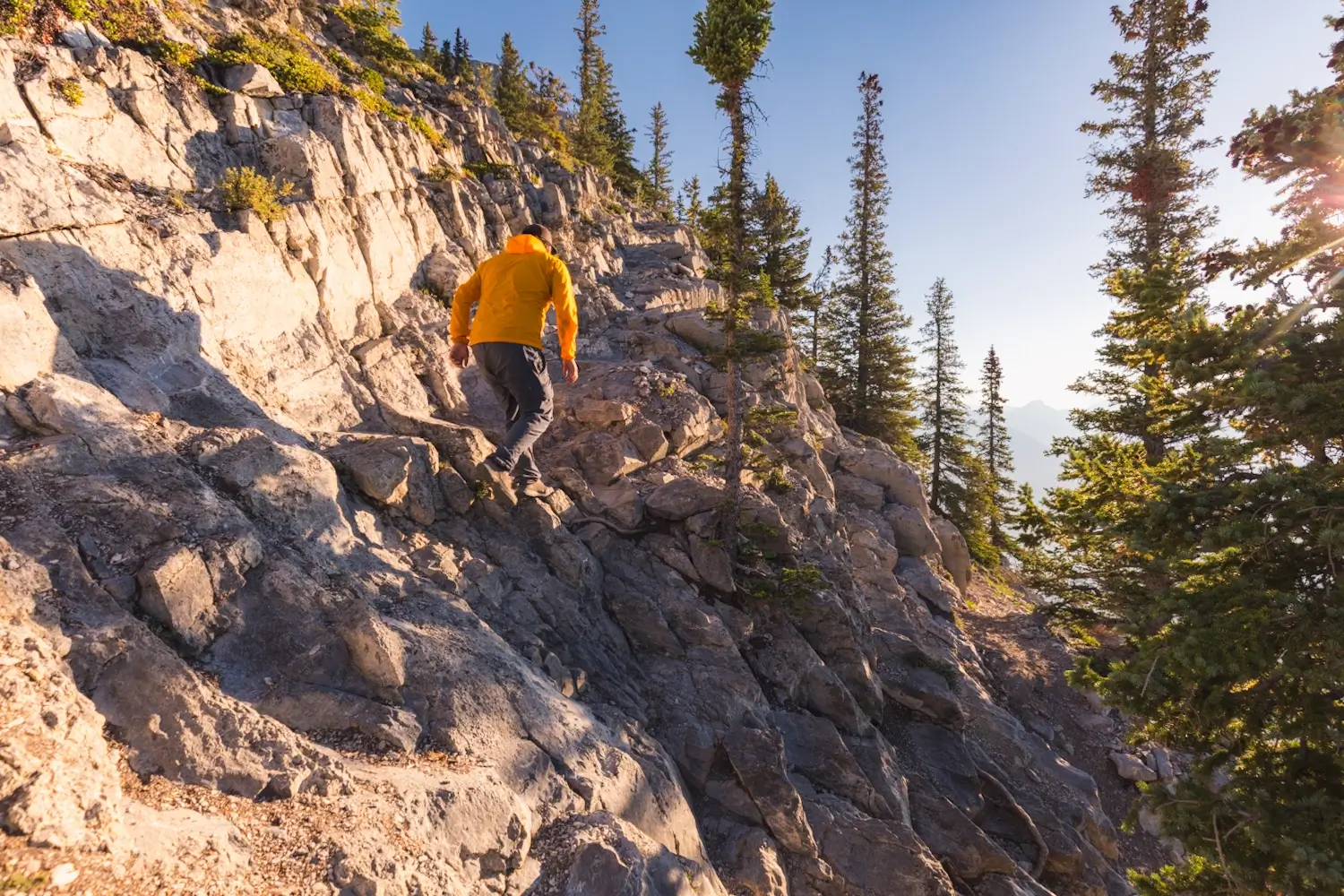 A slightly steep section on the way up the EEOR hike in Canmore