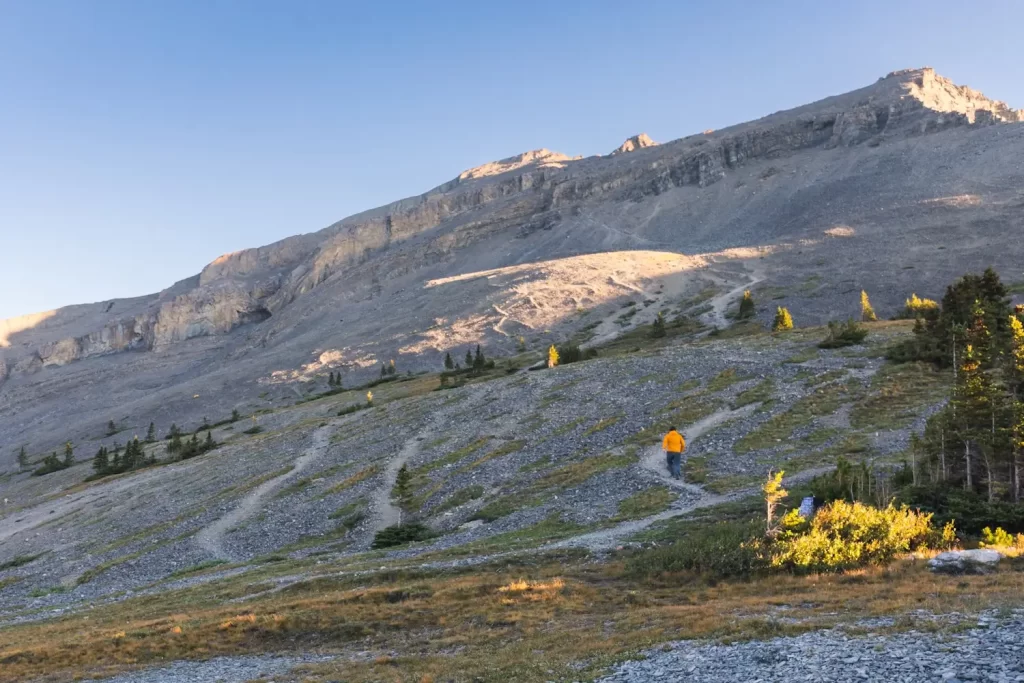 Above the treeline on East End of Rundle, with multiple trails leading up the mountain's summit