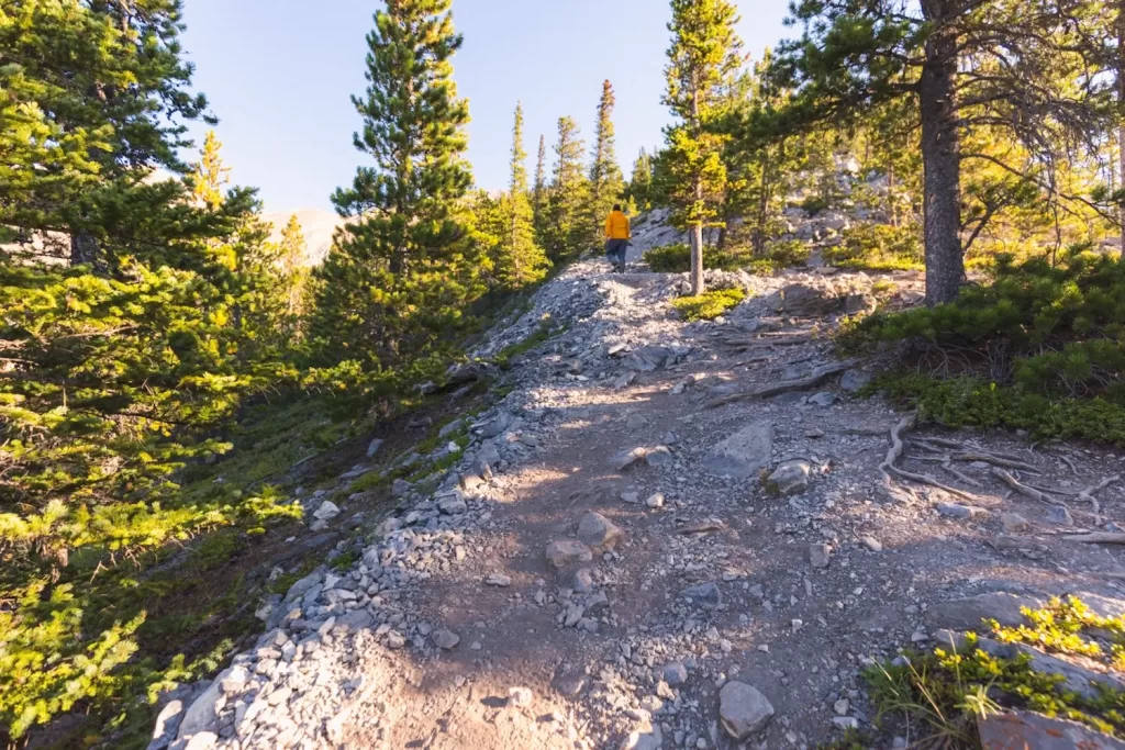 Winding and braiding gravel paths along the way up the EEOR hike