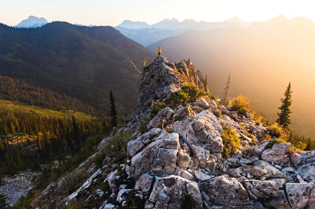 Spineback Trail in Fernie