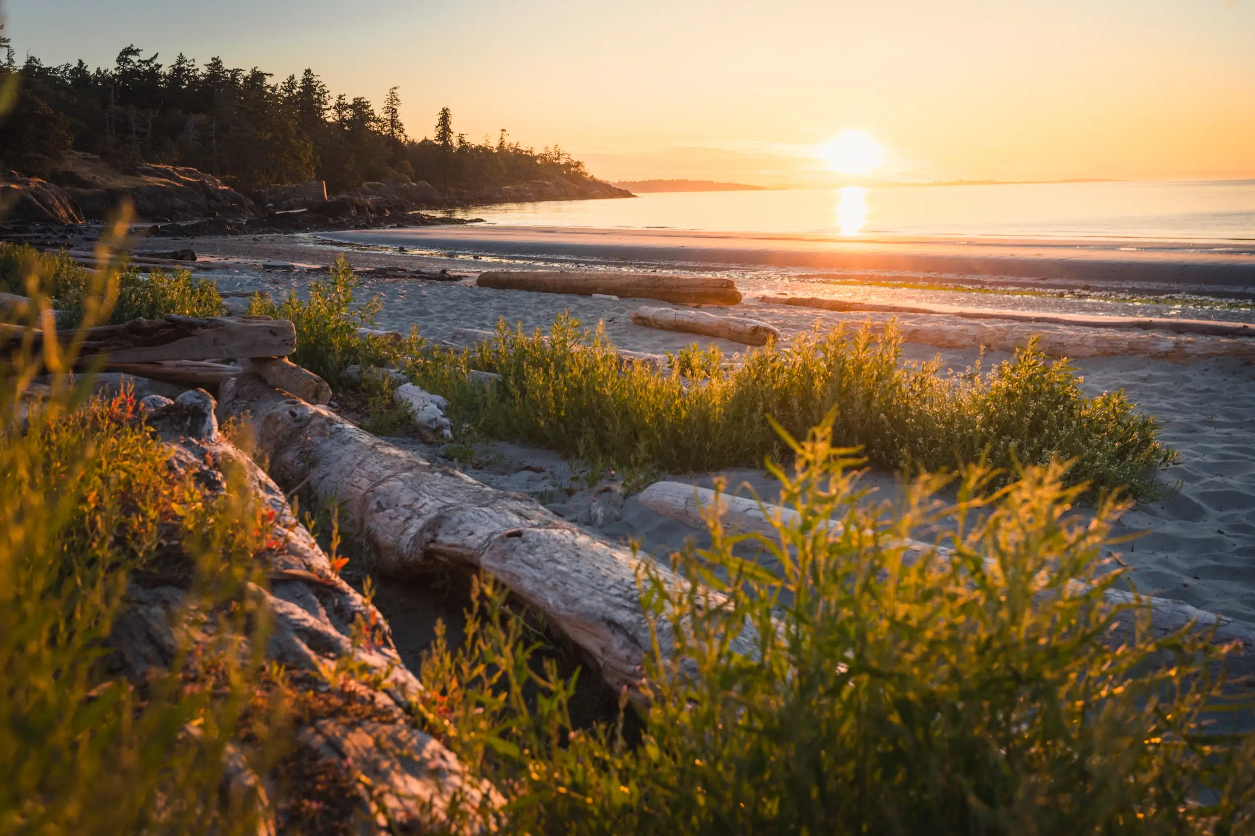 Best Victoria BC Beaches